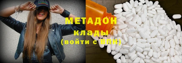 индика Богородицк