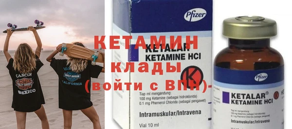 стаф Богданович