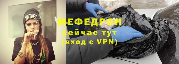 стаф Богданович