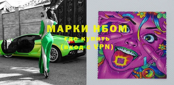 индика Богородицк