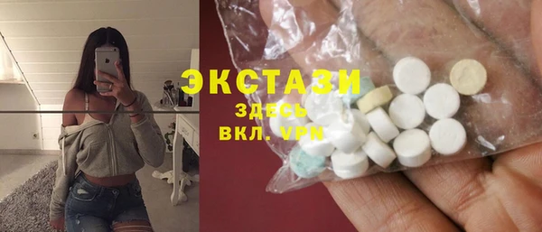 индика Богородицк