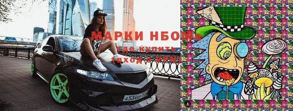 индика Богородицк