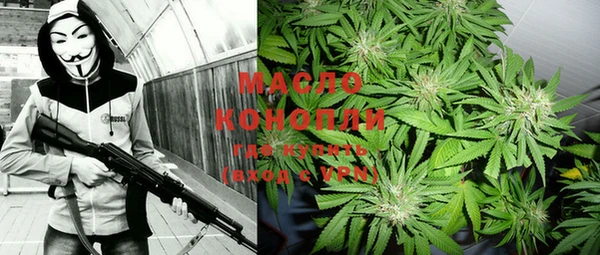 индика Богородицк