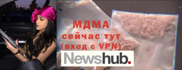 индика Богородицк