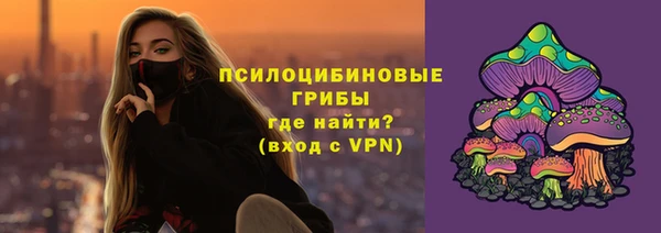 индика Богородицк