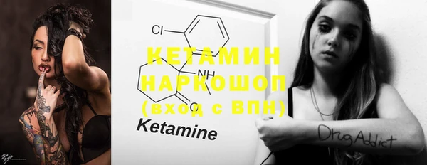стаф Богданович