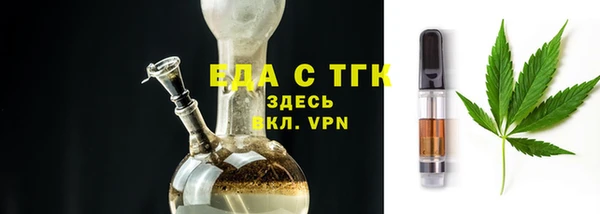 стаф Богданович