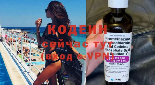 индика Богородицк