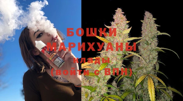 индика Богородицк