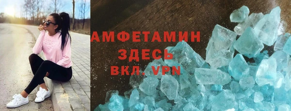 индика Богородицк
