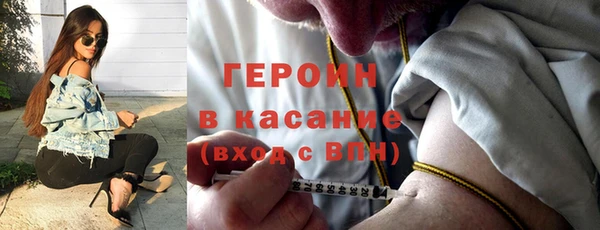 индика Богородицк