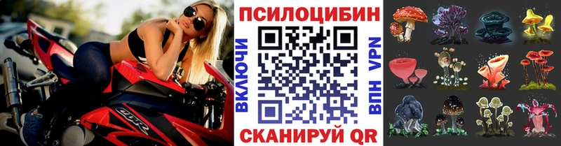 Псилоцибиновые грибы Magic Shrooms  гидра ONION  Короча 